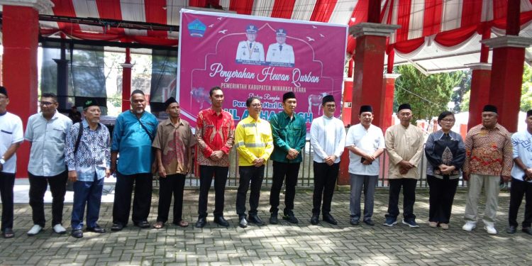 PT MSM TTN Rayakan Hari Raya Idhul Adha 1446 Hijrah dengan Membagikan 11 Hewan Sapi Kurban kepada Masyarakat