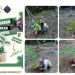 Kembali Tunjukan Komitmen, Mapala Tarsius POLIMDO Mantapkan Langkah Menuju Generasi Emas Indonesia